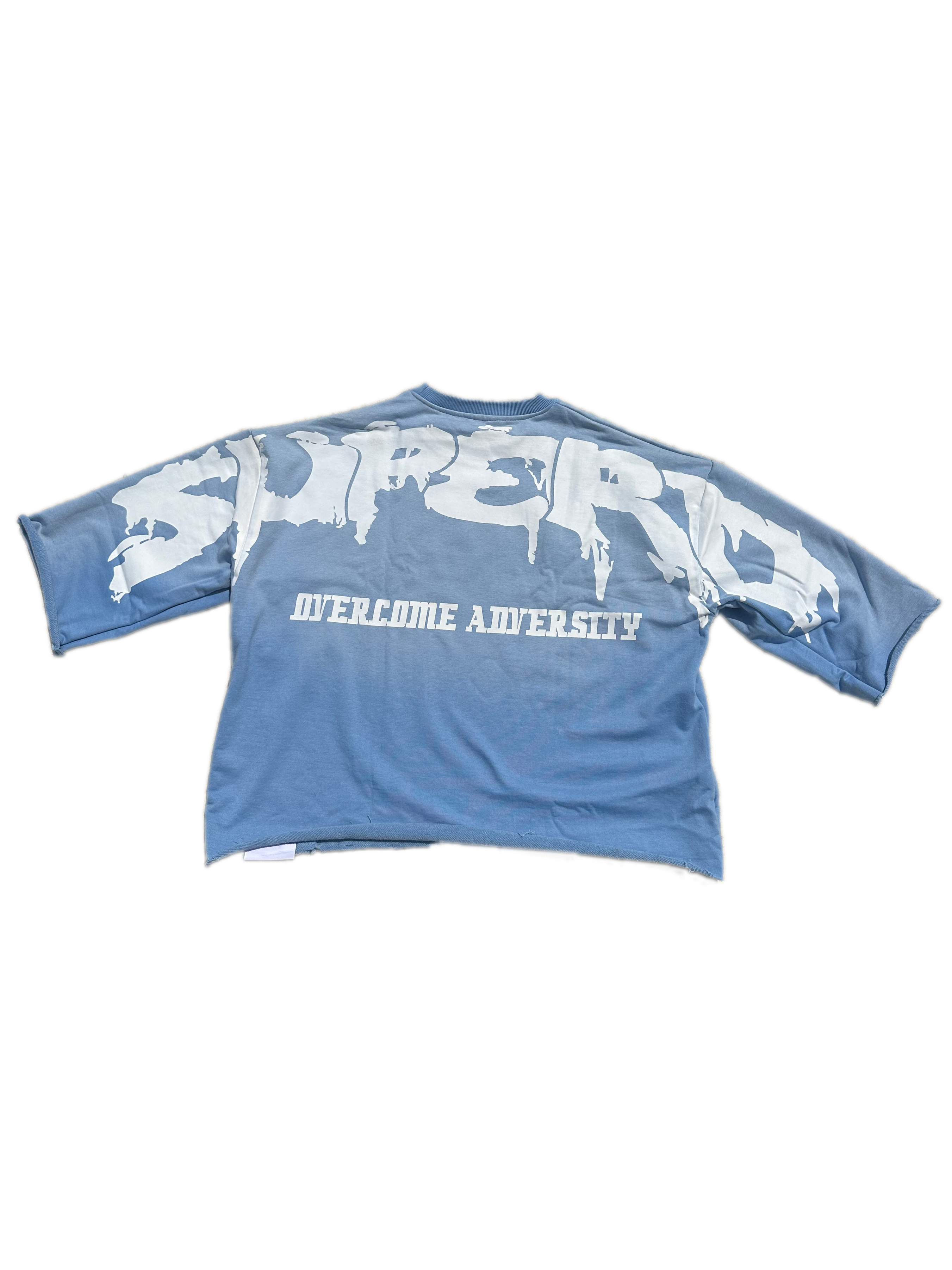 CROPPED "HEAD ON A SWIVEL" SHIRT (BLUE & WHITE)